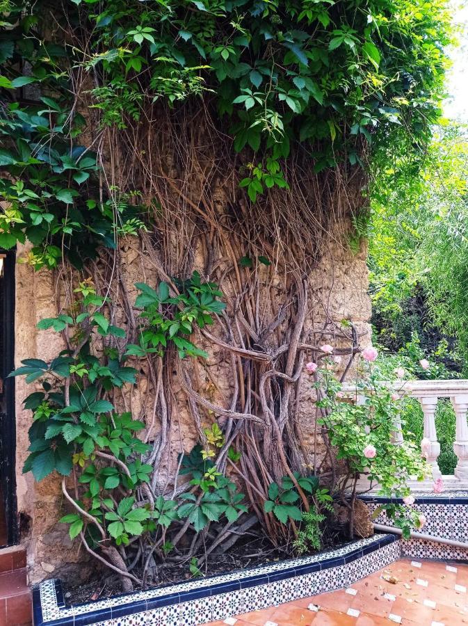 Los Canos De La Casa Viva เบเลซบลังโก ภายนอก รูปภาพ