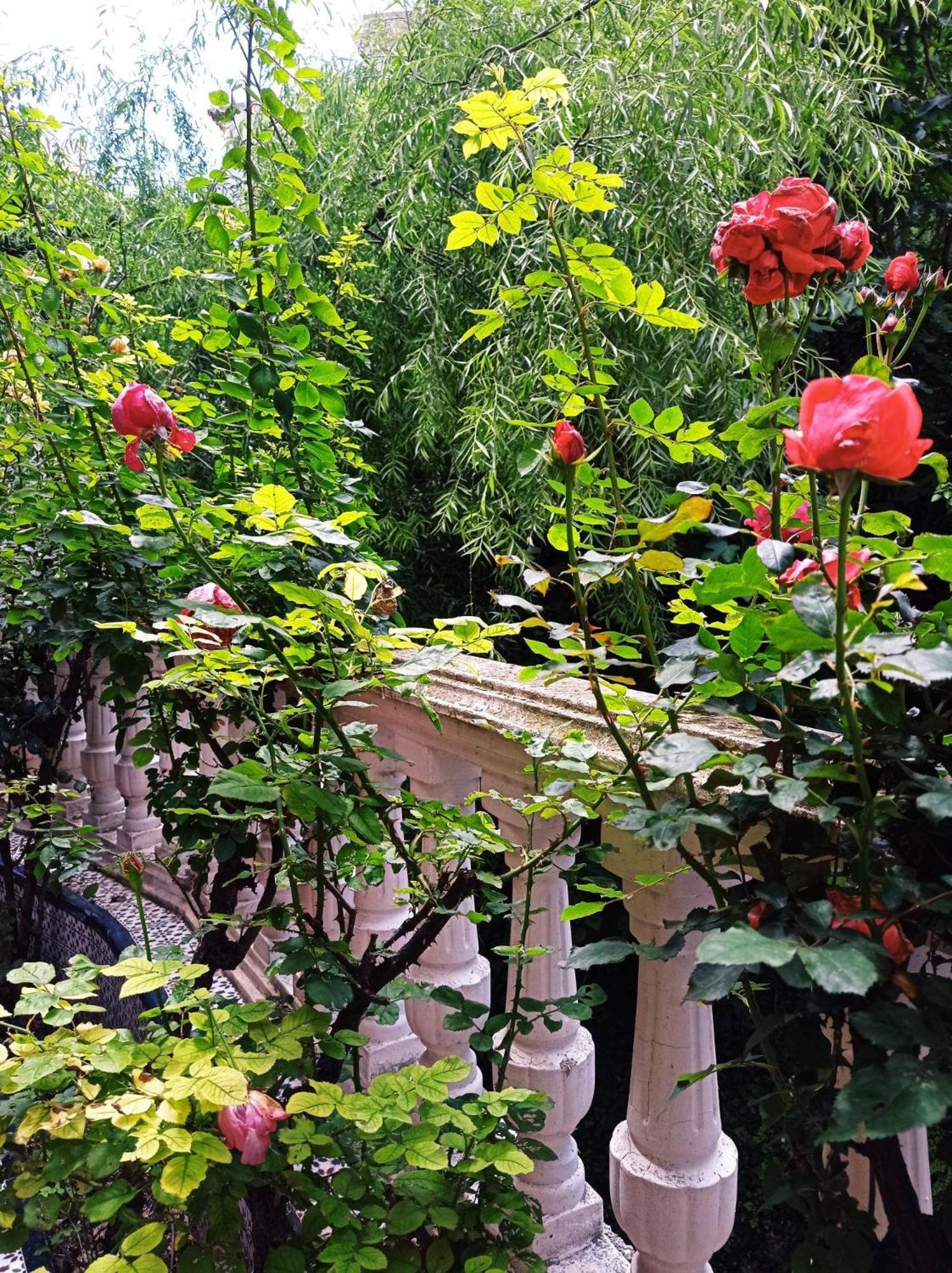 Los Canos De La Casa Viva เบเลซบลังโก ภายนอก รูปภาพ
