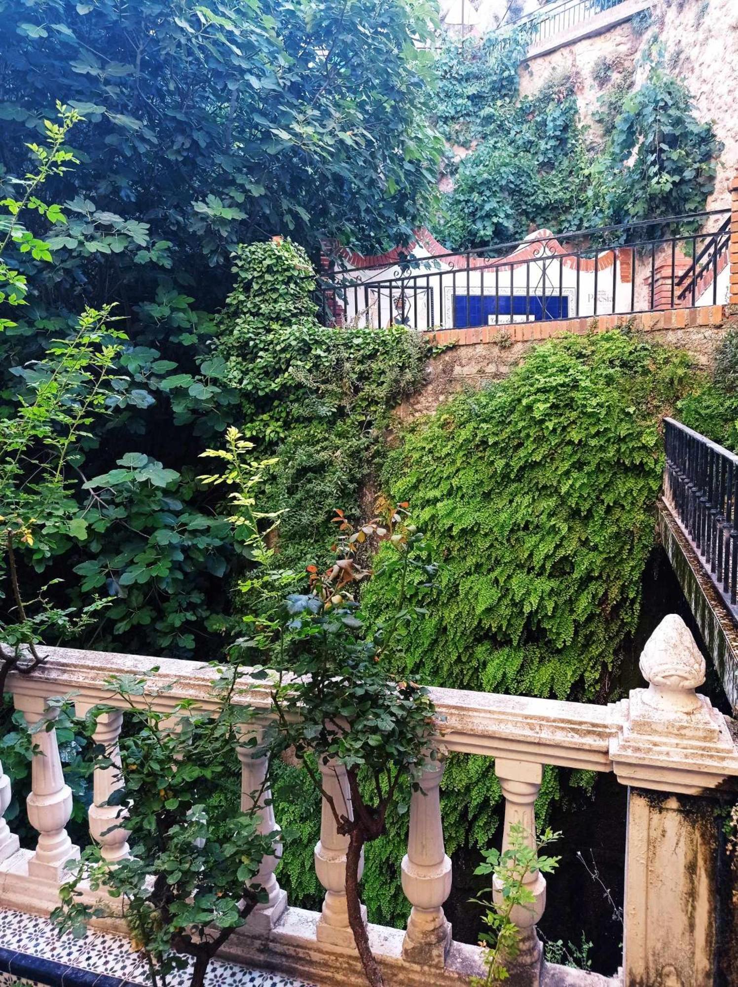 Los Canos De La Casa Viva เบเลซบลังโก ภายนอก รูปภาพ